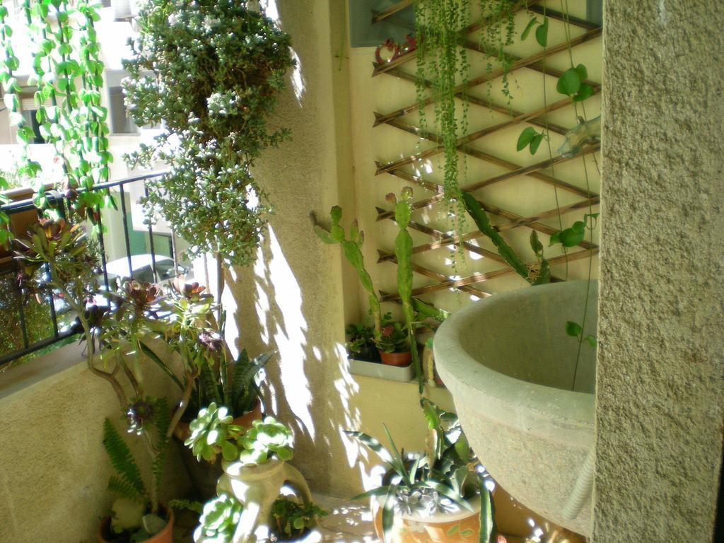 Orizzonte B&B เชฟาลู ห้อง รูปภาพ